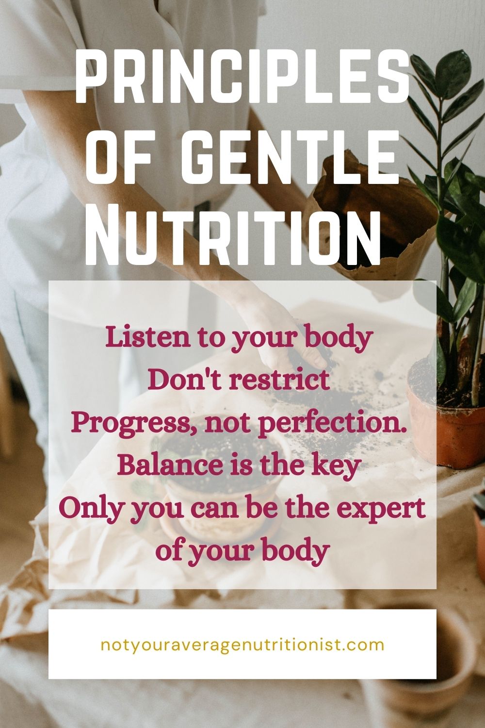 Gentle Nutrition 